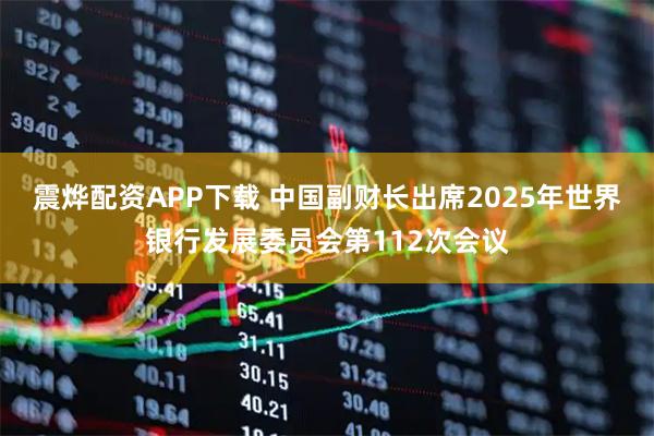 震烨配资APP下载 中国副财长出席2025年世界银行发展委员会第112次会议