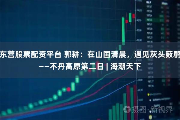 东营股票配资平台 郭耕：在山国清晨，遇见灰头薮鹛——不丹高原第二日 | 海潮天下