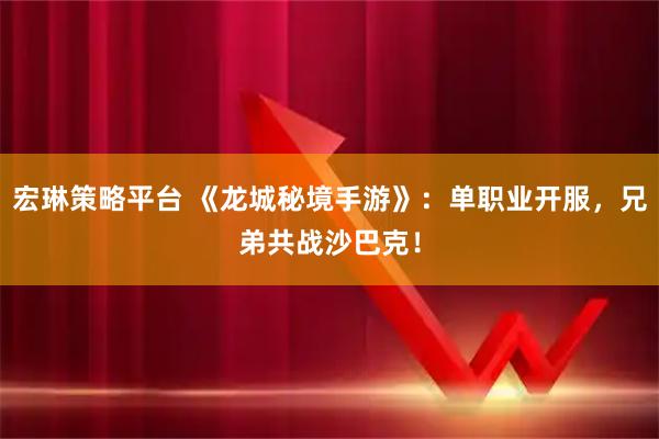 宏琳策略平台 《龙城秘境手游》：单职业开服，兄弟共战沙巴克！