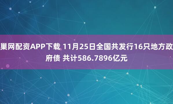 巢网配资APP下载 11月25日全国共发行16只地方政府债 共计586.7896亿元